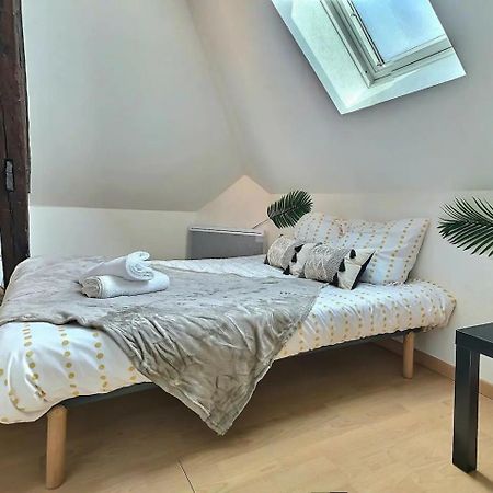 Le Travel - Appartement Equipe Proche Centre Et Yschools Troyes Esterno foto